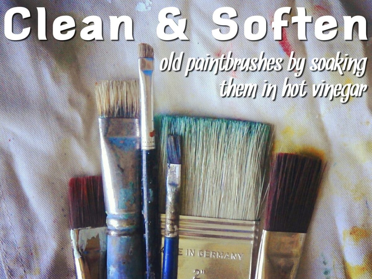 Six Clever Ways to Clean with Vinegar The Cleaning Crew, LLC